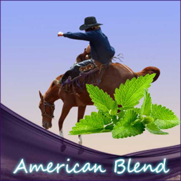 Mentho-American Blend Liquid