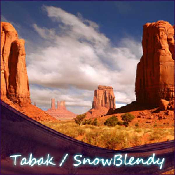 Tabak / SnowBlendy (USA) Liquid