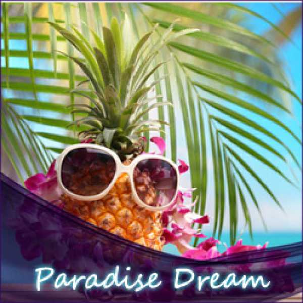 Paradise Dream Liquid (Kokos Milch)