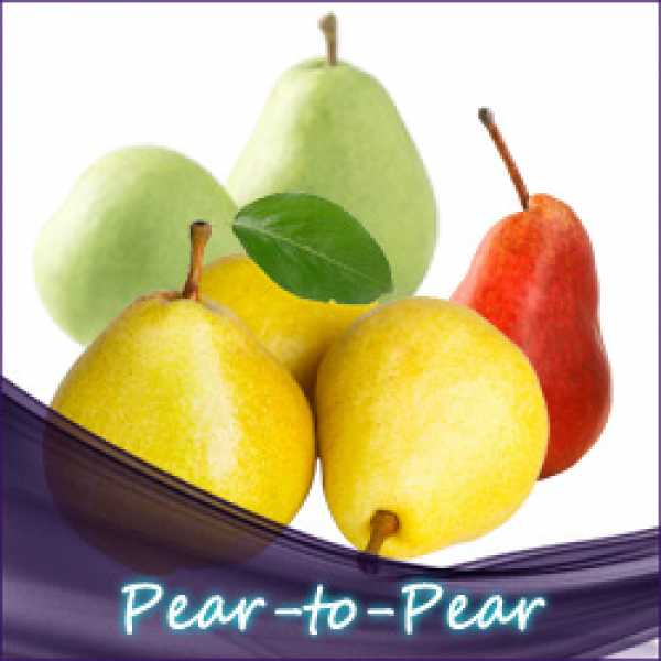 Pear-to-Pear Liquid (Birnen + Beeren)