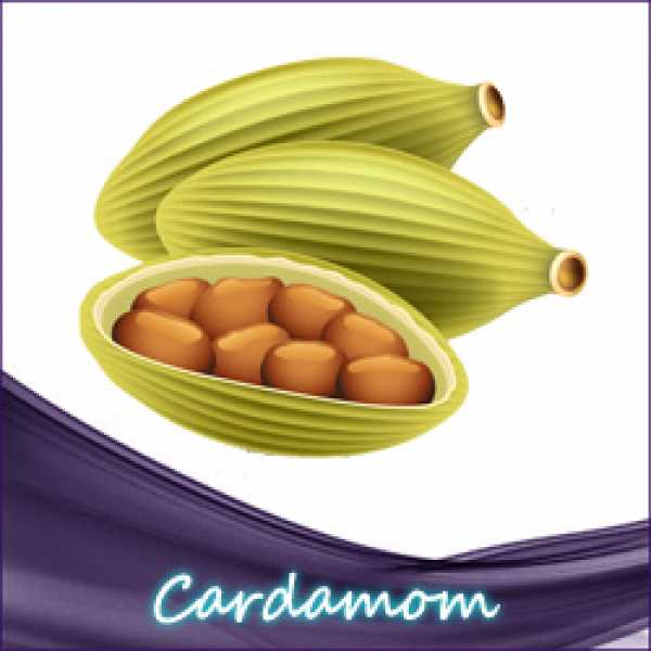 Cardamom Liquid (Ingwer + Nelken) (Süßlich, würzig und scharf) Kardamom
