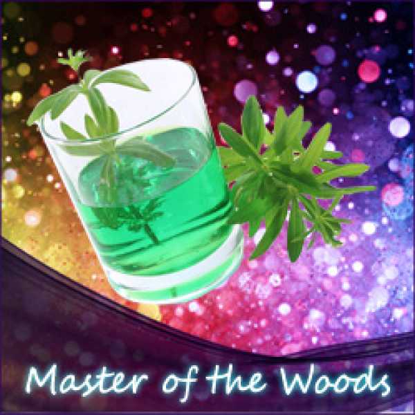 Master of the Woods Liquid (Waldmeister)