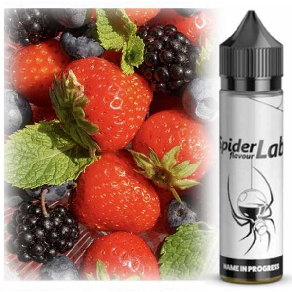 Name in Progress Erdbeeren Brombeeren Minze Liquid Aroma Spider Lab 8-in-60ml