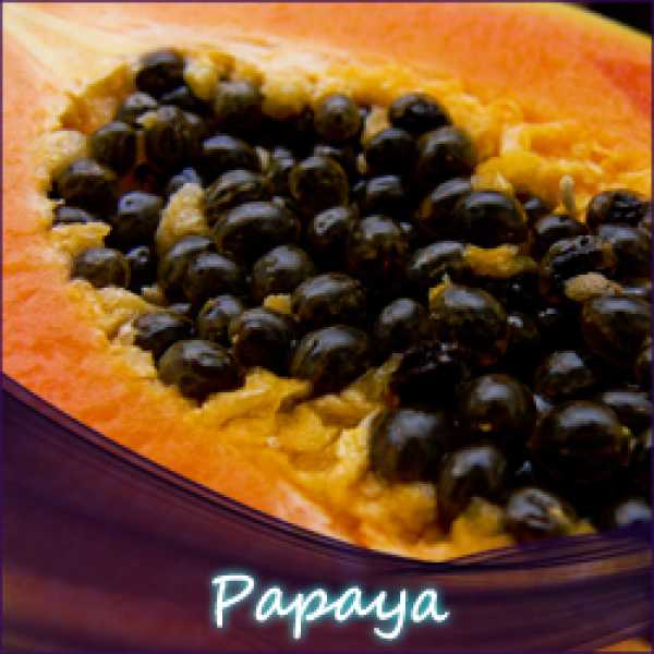 Papaya Liquid Tropen Frucht