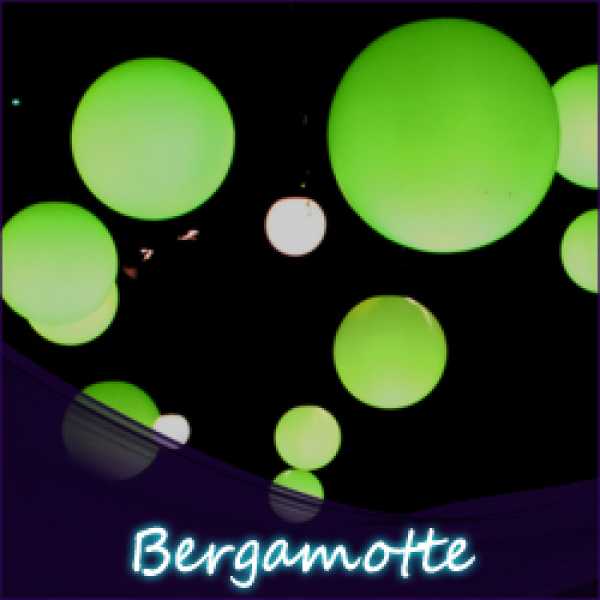 Bergamotte Liquid (Limette und Zitrone)