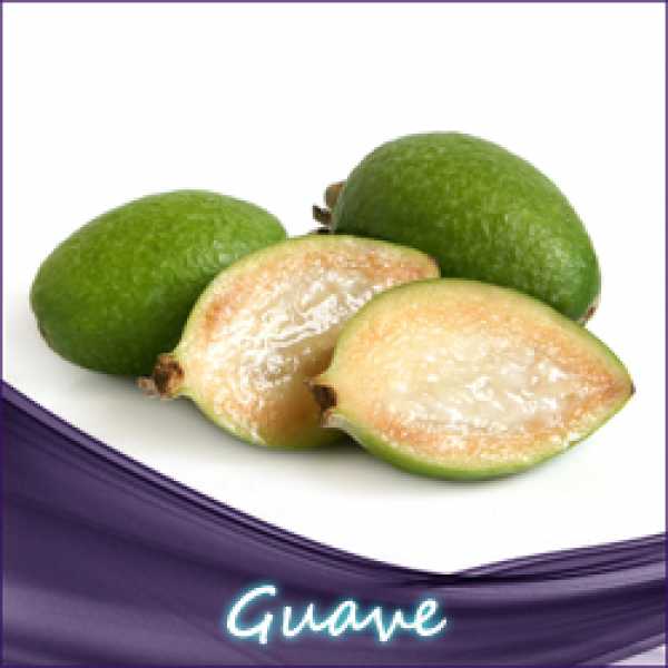 Guave Liquid Guava süß sauer
