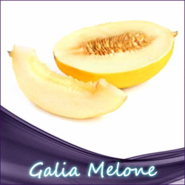 Tasty Melon Liquid (Galia Melone, Honig Melone)