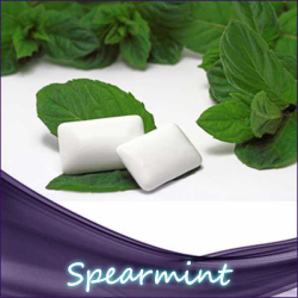 Spearmint Liquid leicht stärkere Süße 10ml