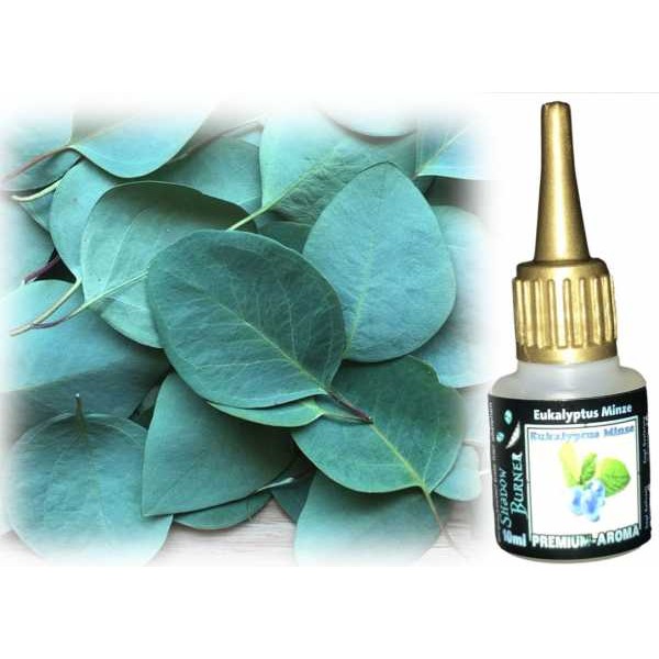 Eukalyptus Minze Aroma Shadow Burner 10ml