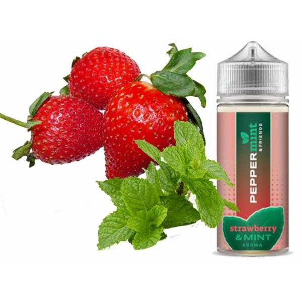Erdbeeren Minze Strawberry Peppermint & Friends Liquid Aroma Shortfill 20ml in 120ml